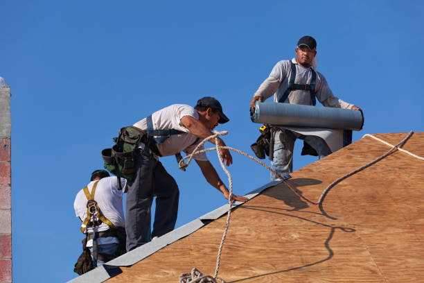 Best Storm Damage Roof Repair  in Lenox, IA
