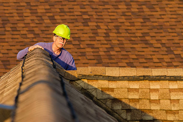 Best Roof Gutter Cleaning  in Lenox, IA