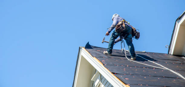 Roof Gutter Cleaning in Lenox, IA